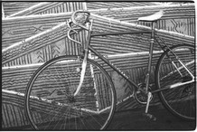 Daniel's Bicycle