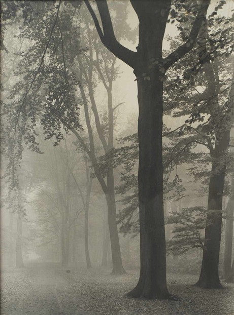 Max Baur: Im Nebel