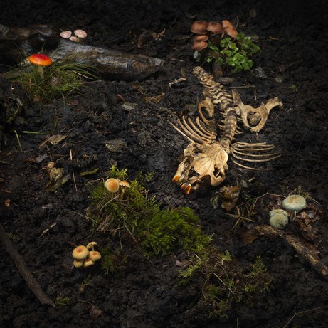 Jan Bünnig: Mein Künstler wurde aufgefressen