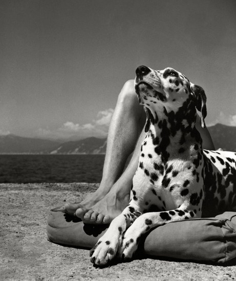 Herbert List: Herr und Hund, Portofino