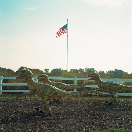 Josef Wolfgang Mayer: Animal Sculpture # 21