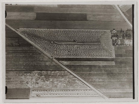 Robert Petschow: Die Ernte. Ein eben abgemähtes Feld, die Mähmaschine läuft noch in der Feldmitte