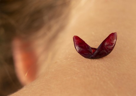 Jorge Garrido: DESEO