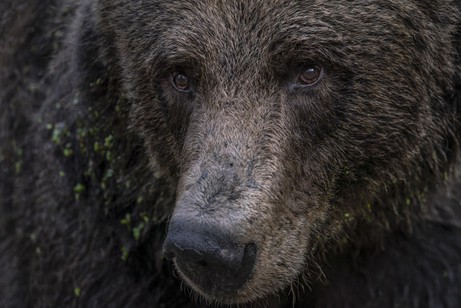 Meira Dins: Ohne Titel