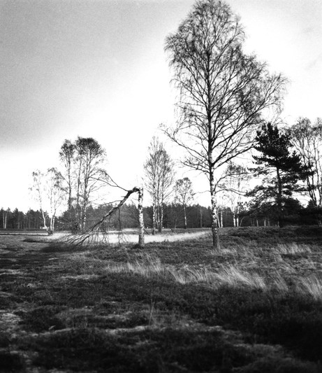 Henning Langenheim: Bergen-Belsen 1992