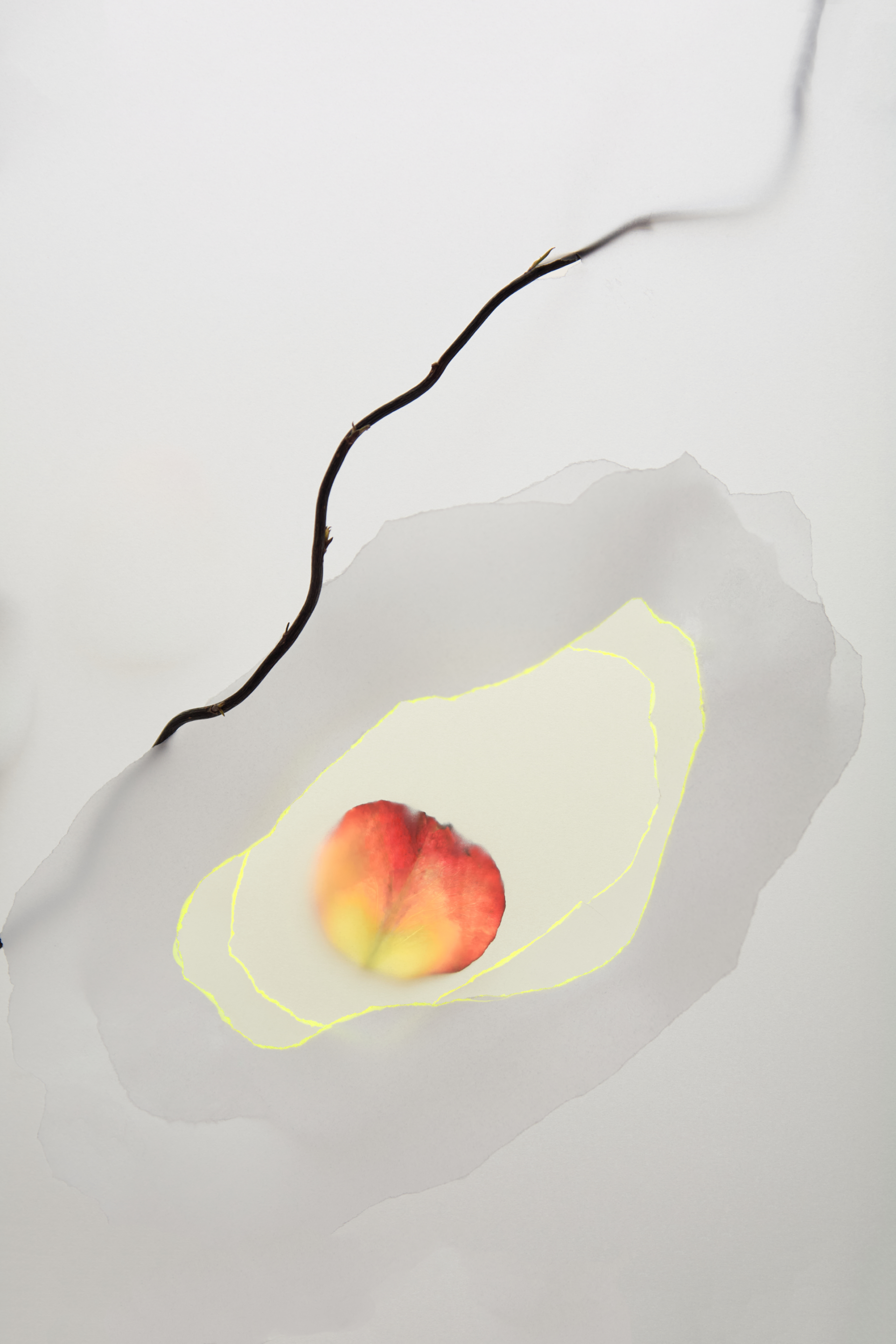 Katerina Andriuscenco: Layers of Perception, 2023, Tintenstrahldruck einer dreidimensionalen Collage auf transparentem Papier 