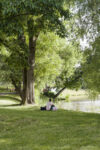 Der Herrenteich direkt neben der Haltestelle »Zentrum« ist ein Ort, der oft von Bewohner*innen der Erstaufnahme angesteuert wird, nach einem Einkauf oder einfach um nicht den ganzen Tag in der Einrichtung zu sitzen. Foto: Frieder Bickhardt, 2024